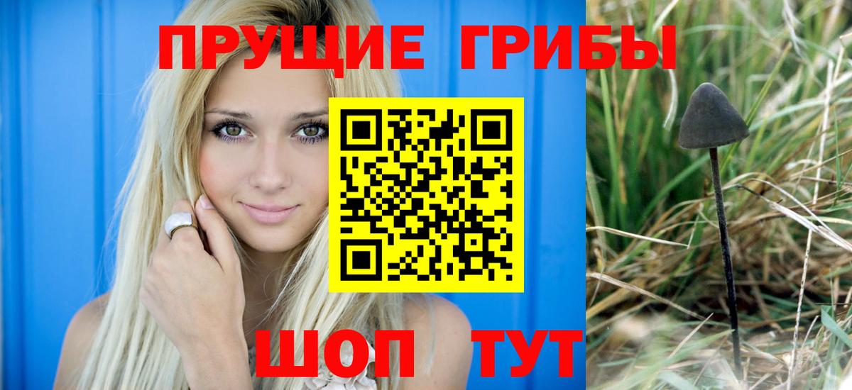 Псилоцибиновые грибы мицелий  Вход с VPN  купить наркотик  Севастополь 